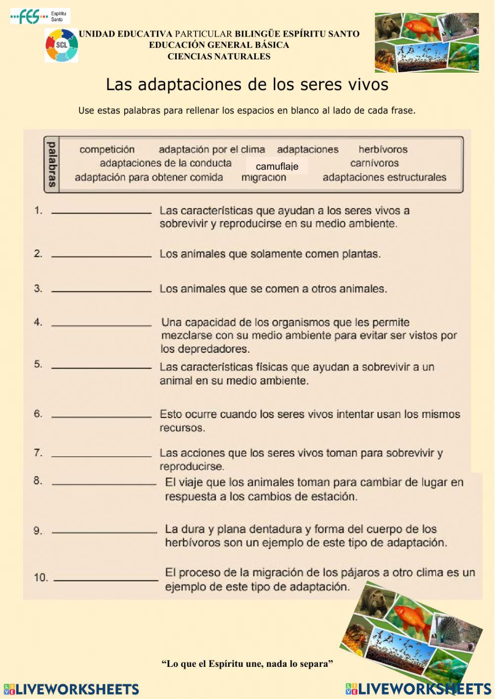 Adaptaciones de los seres vivos