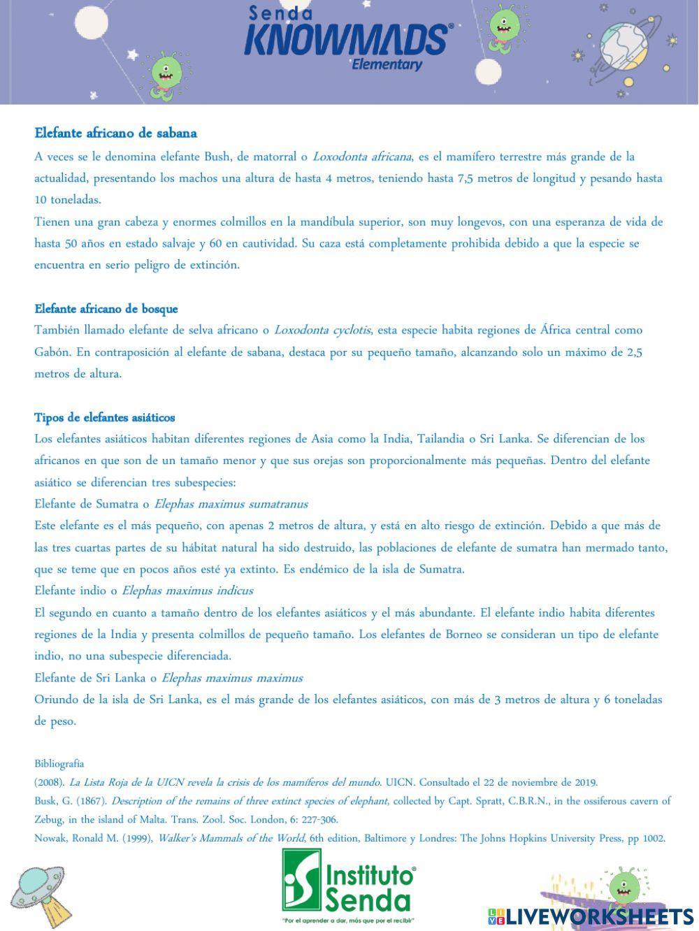 Guía de Español PERIODO I