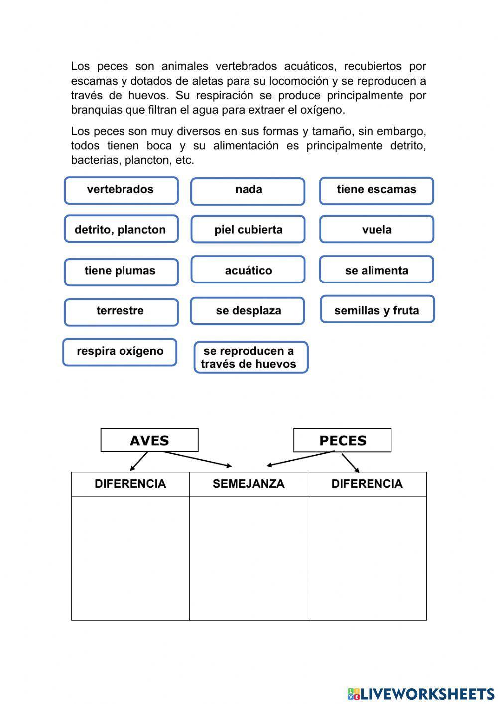 Texto comparativo y uso de sc, cc, x