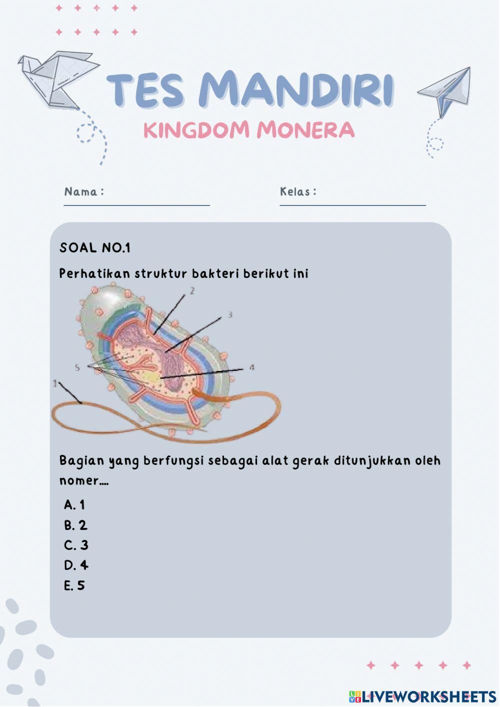 Kingdom monera