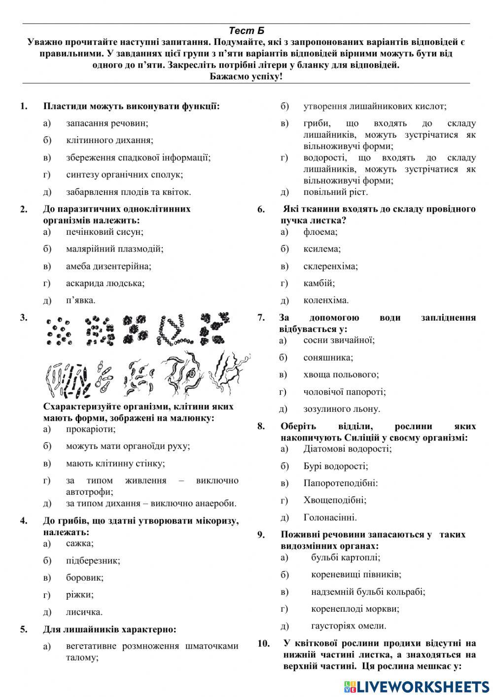 Олімпіада 8 клас