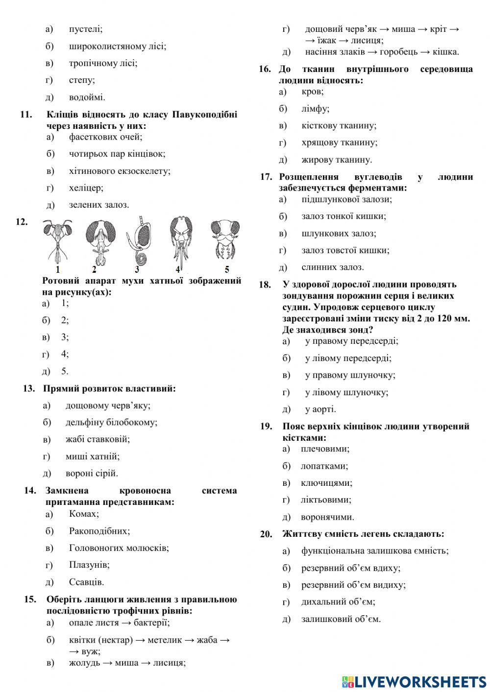 Олімпіада 8 клас