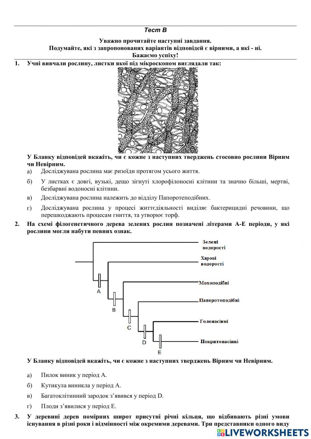 Олімпіада 8 клас