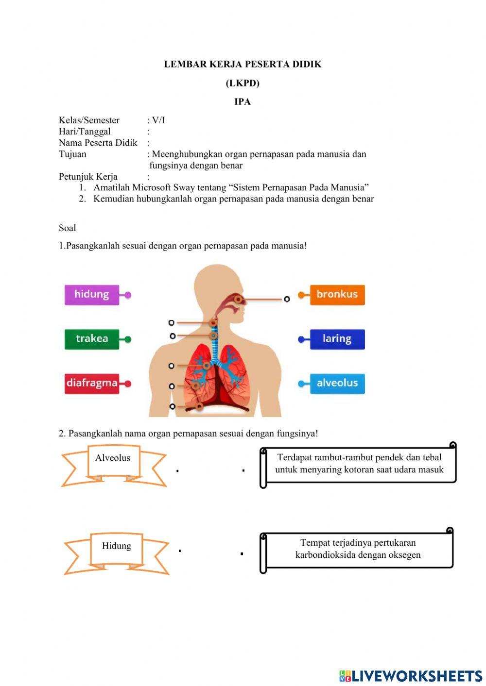 KELAS 5 TEMA 2 ST 1 PB 2