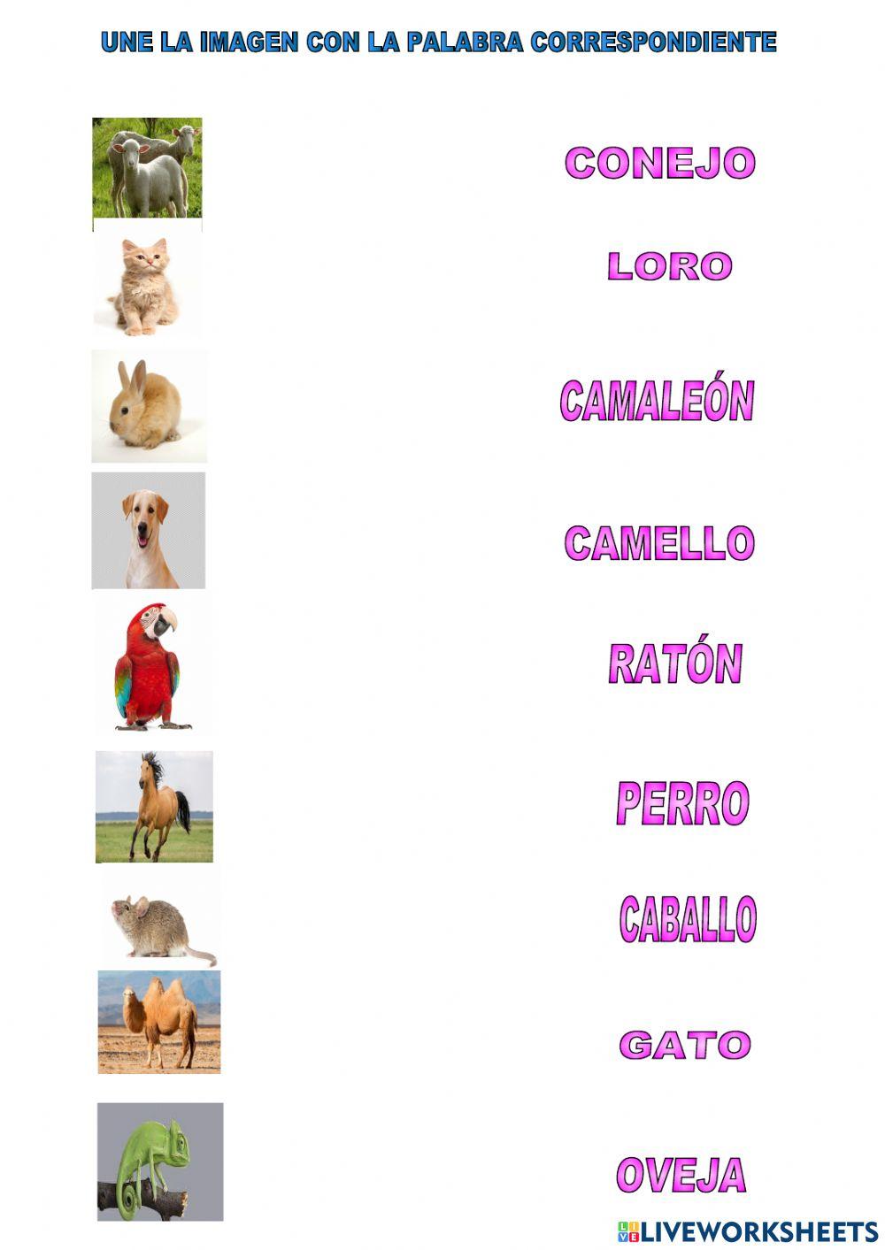 Une cada animal con su nombre.