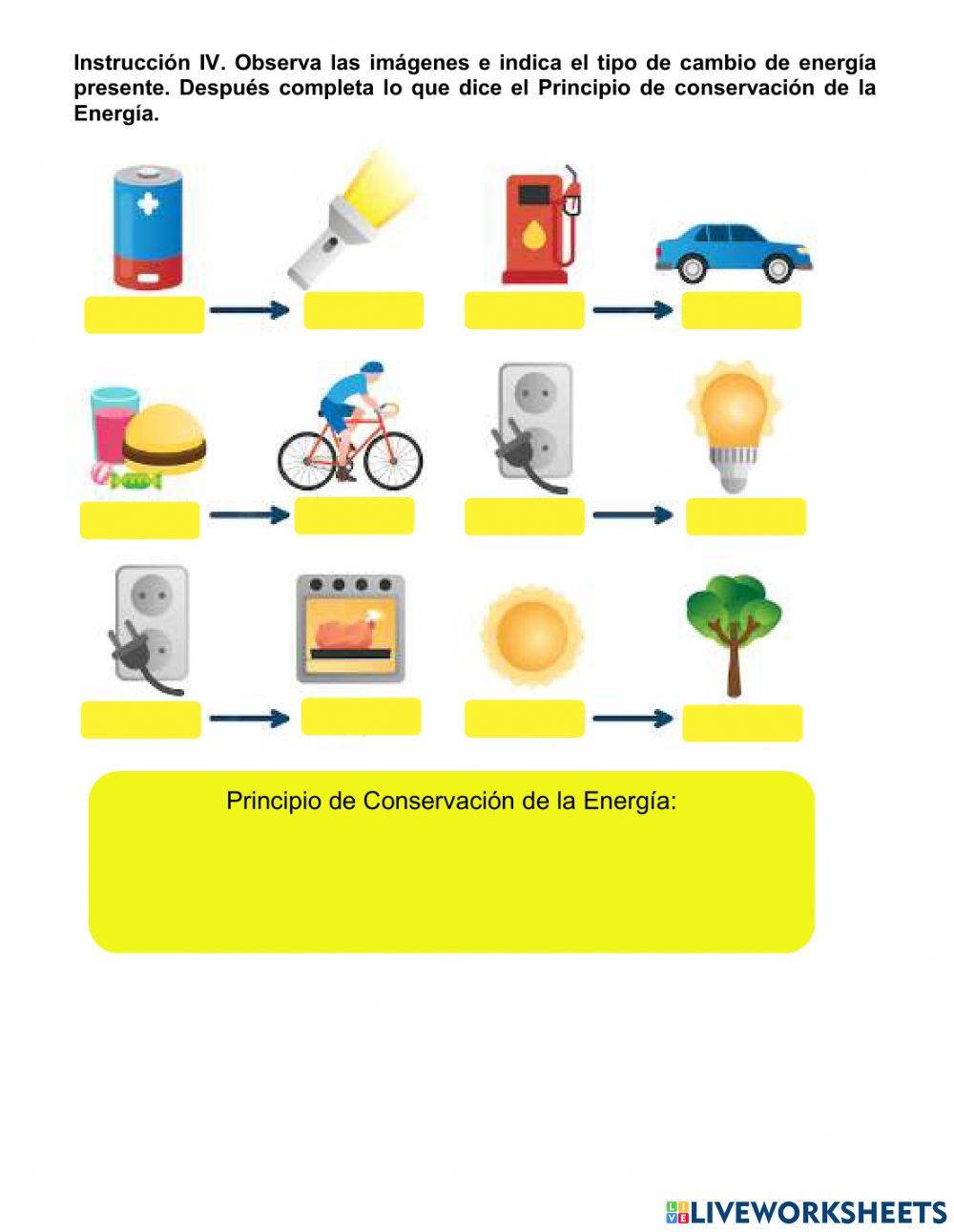Examen de Ciencias del Primer Trimestre
