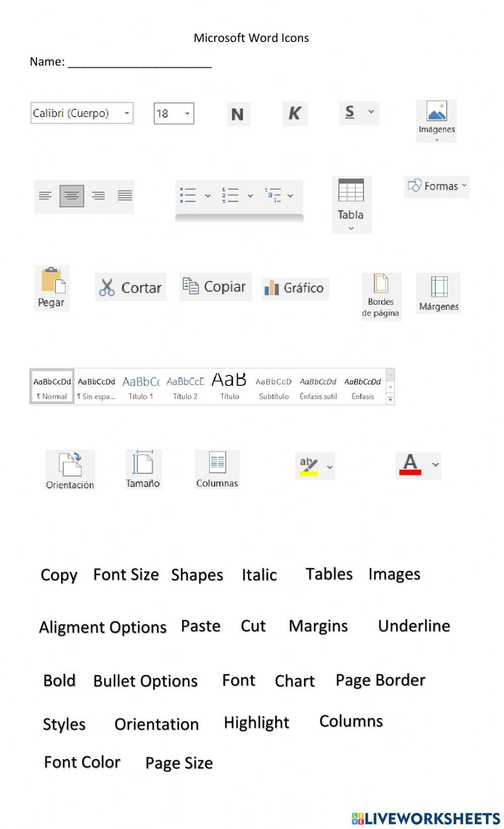 Microsoft Word Icons