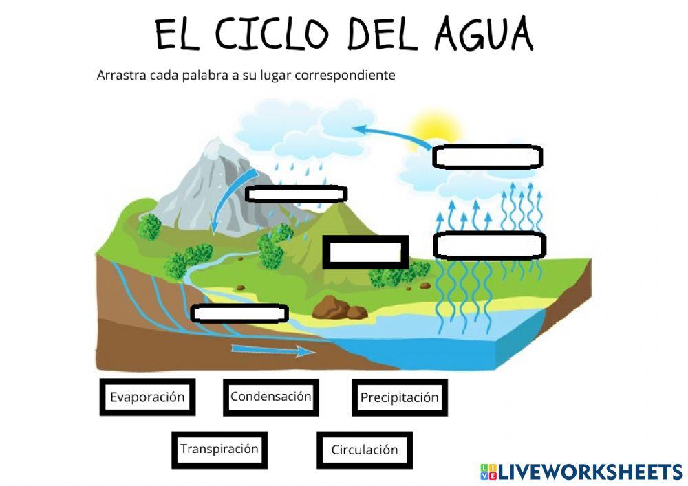 El ciclo del agua