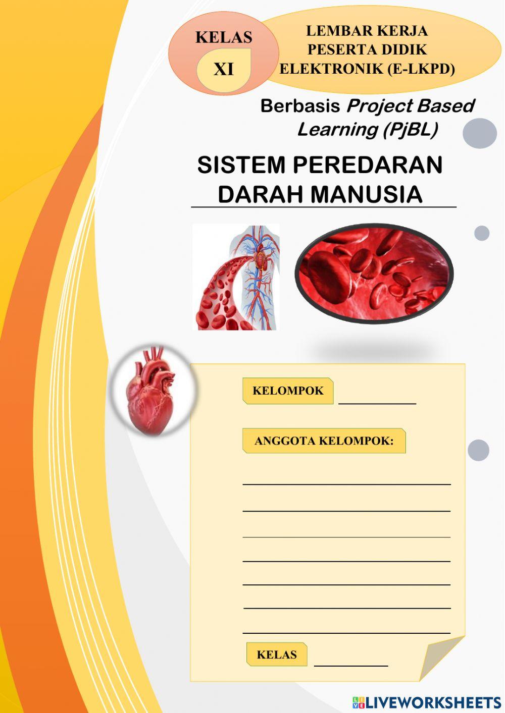 Sistem Peredaran Darah Manusia