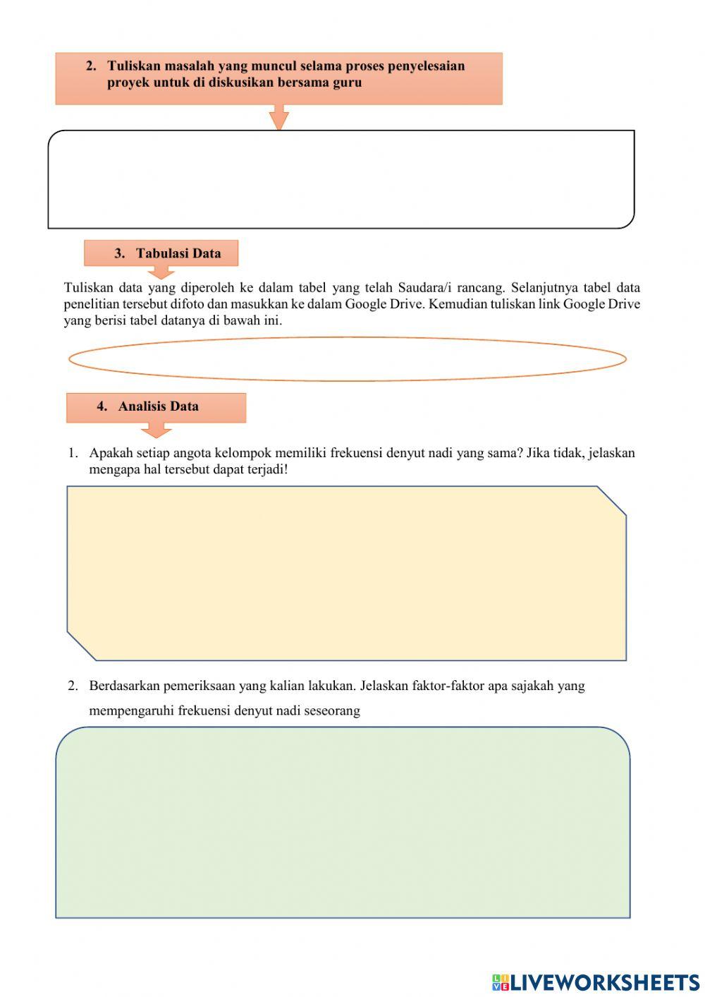 Sistem Peredaran Darah Manusia