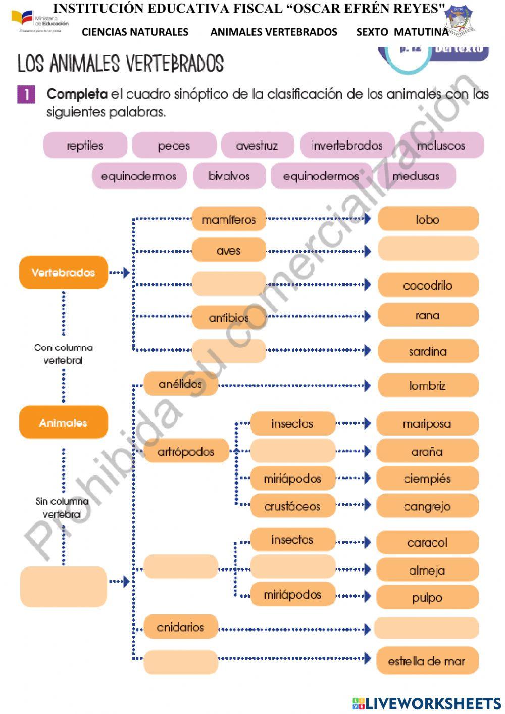 Animales vertebrados