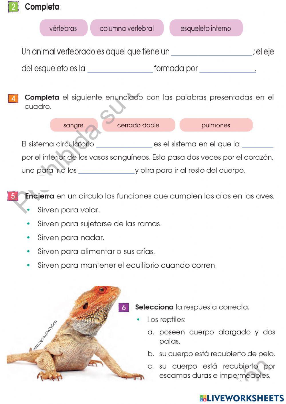 Animales vertebrados