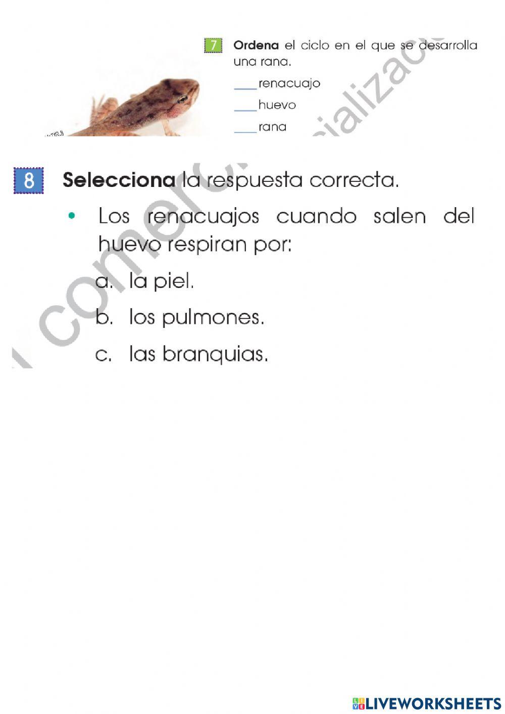 Animales vertebrados