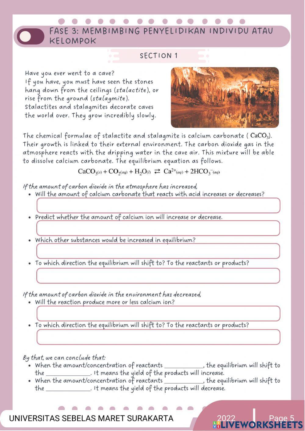 LKPD Changing Conditions in Equilibrium