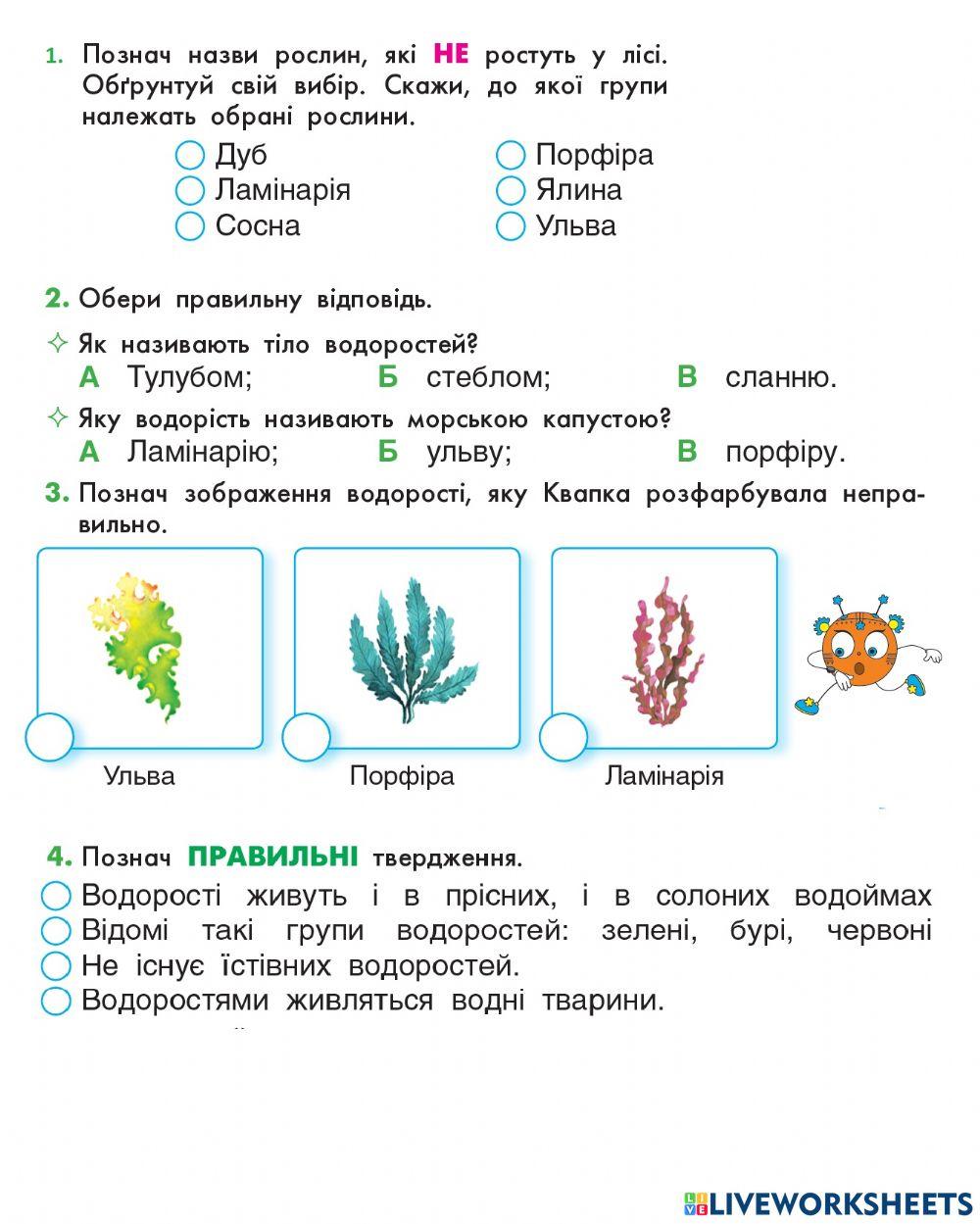 ЯПС рослини мохи