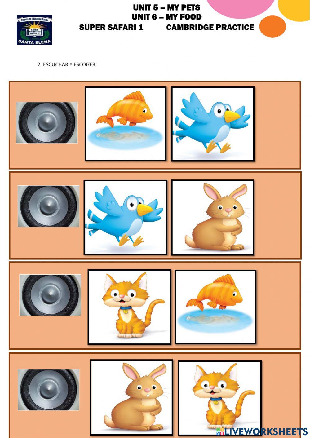 Inicial 1 leccion y temario ficha cambridge