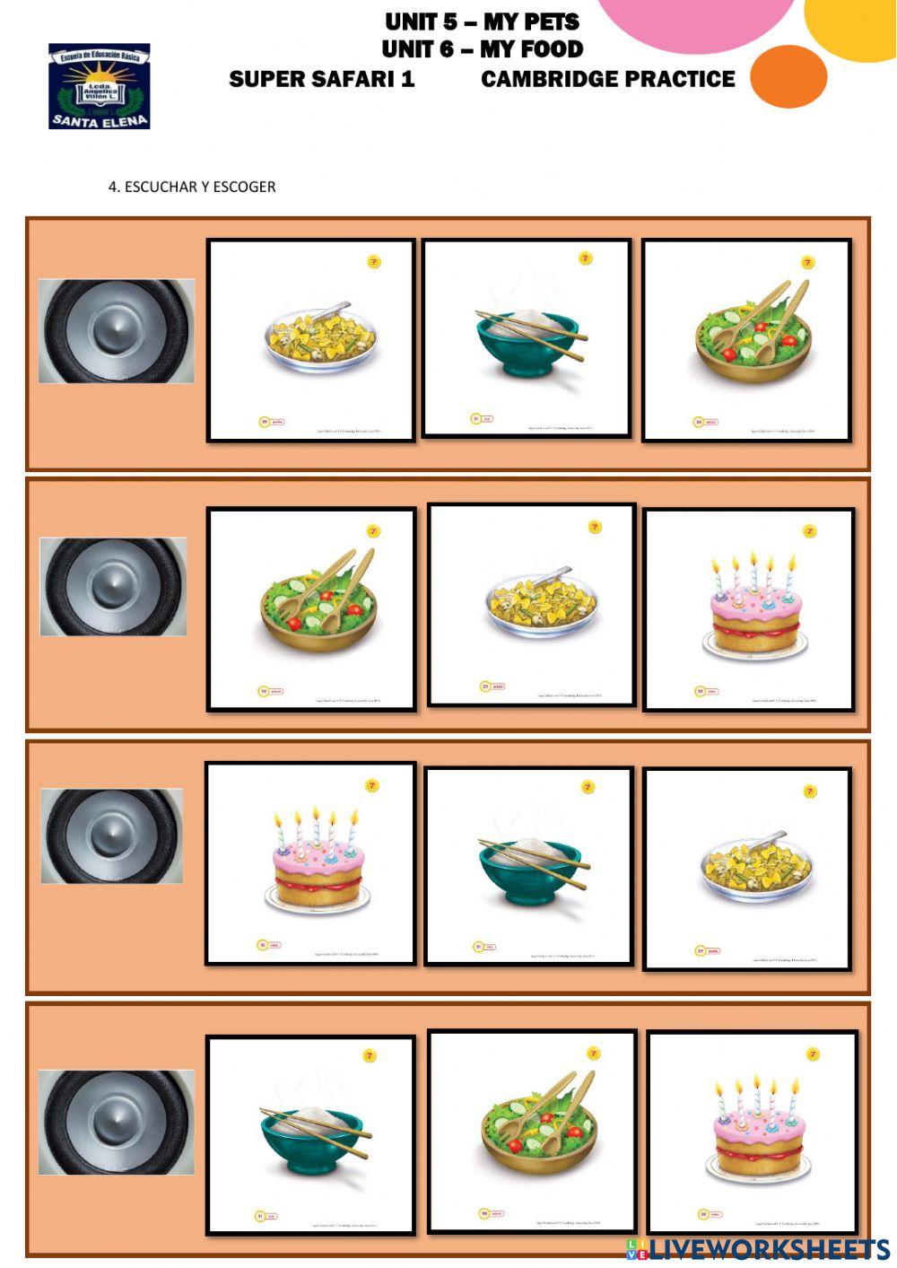 Inicial 1 leccion y temario ficha cambridge