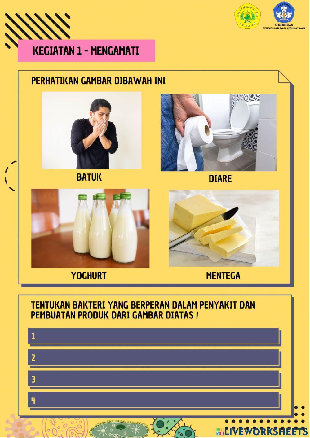 LKPD Peran Bakteri Bagi Kehidupan