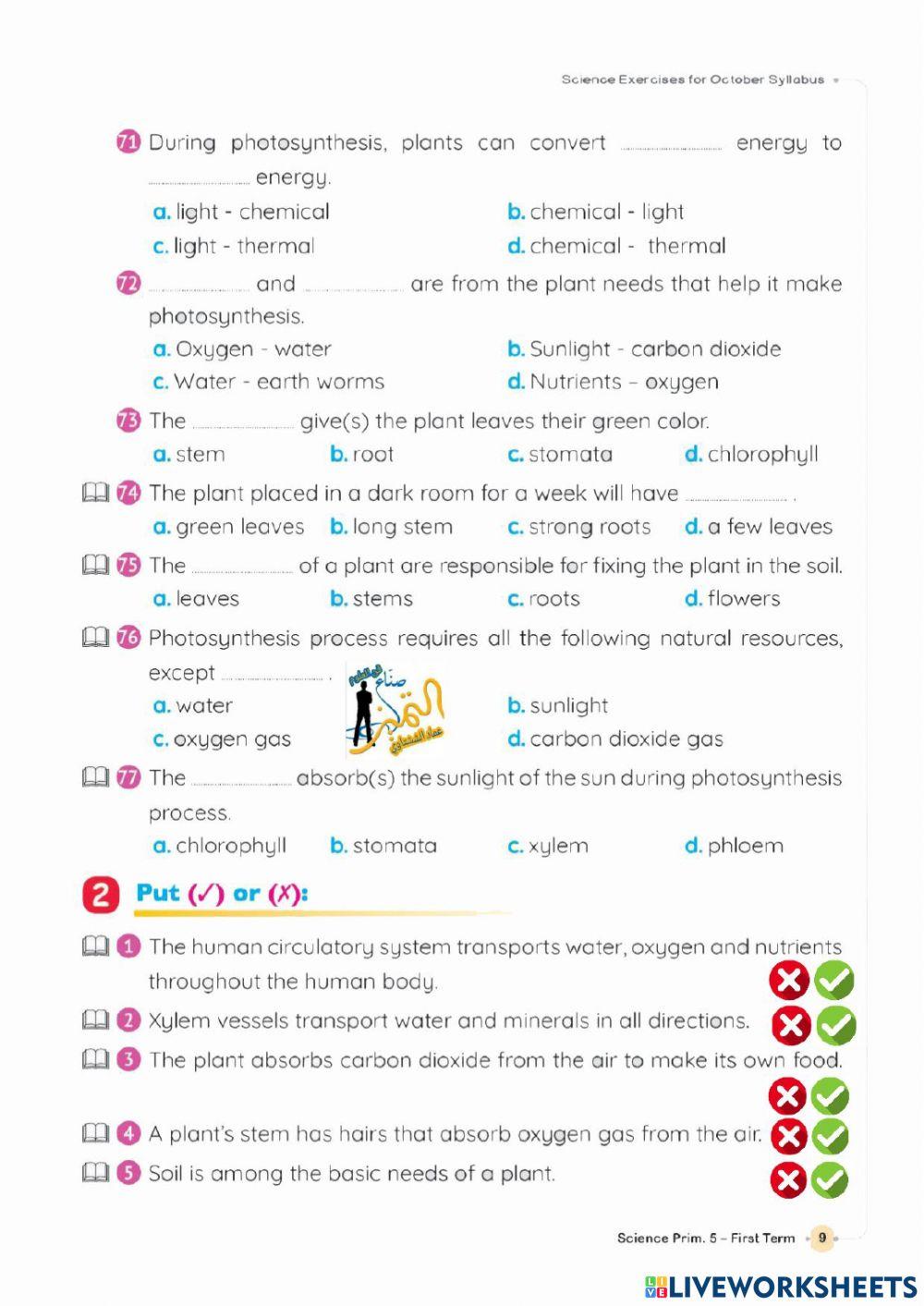 امتحان الصف الخامس اكتةبر 2022
