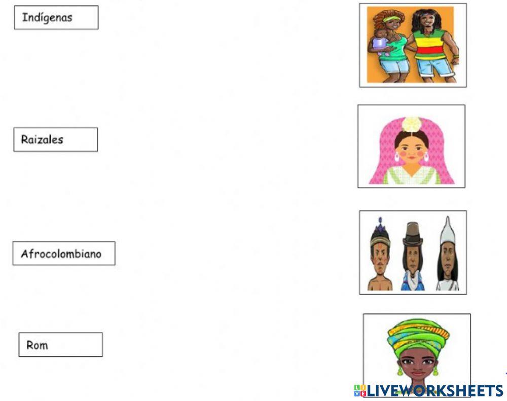 Diversidad Diversidad