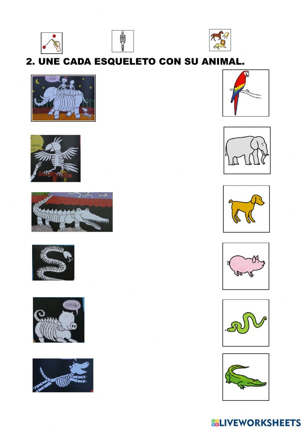 ¡Qué risa de huesos!