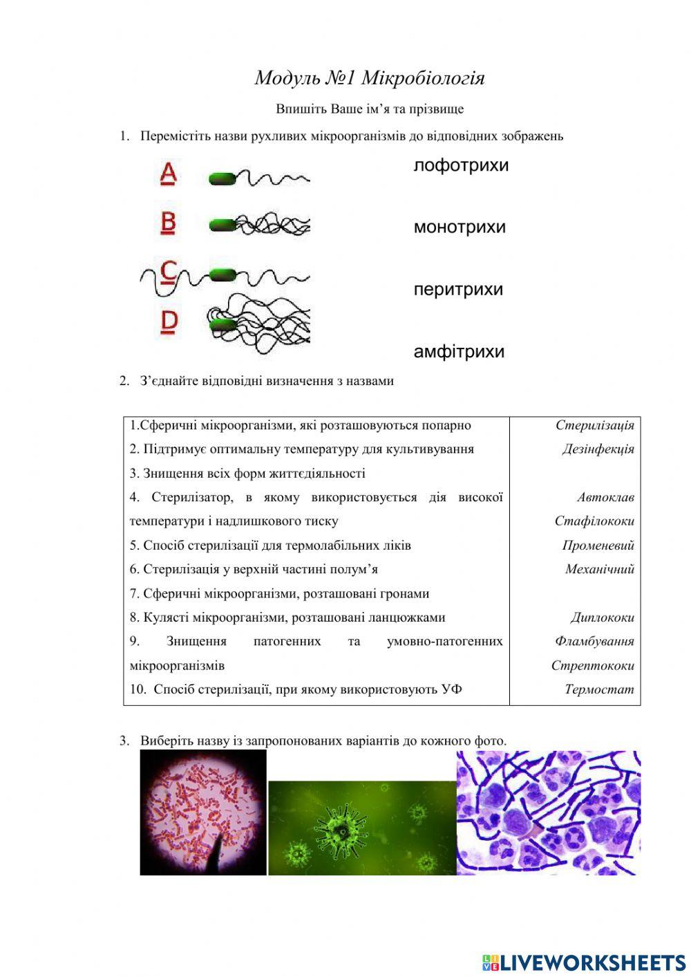 Загальна мікробіологія