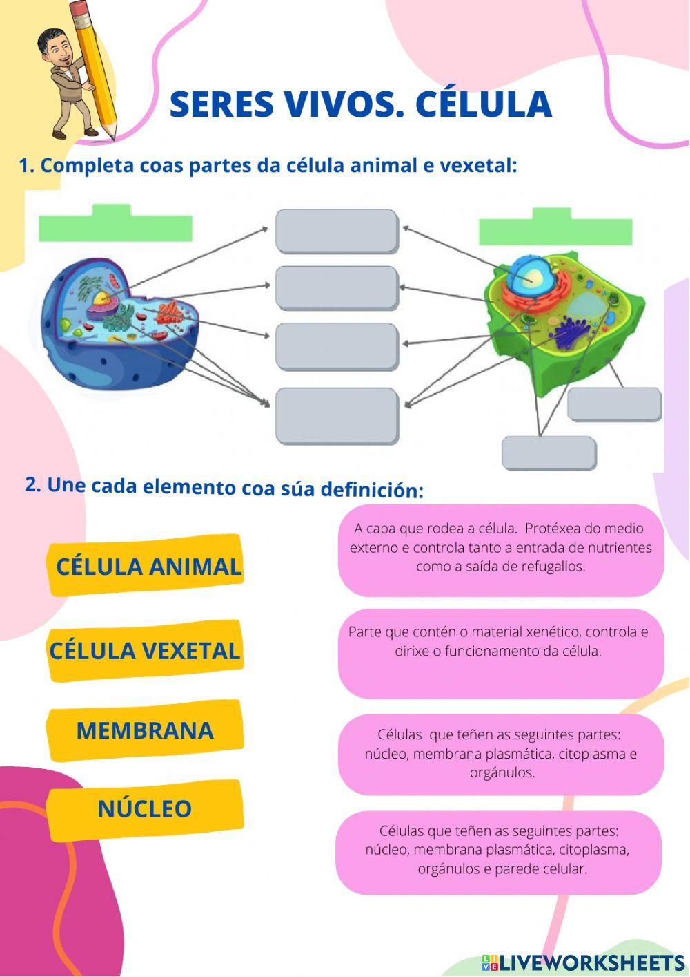 A célula animal e vexetal