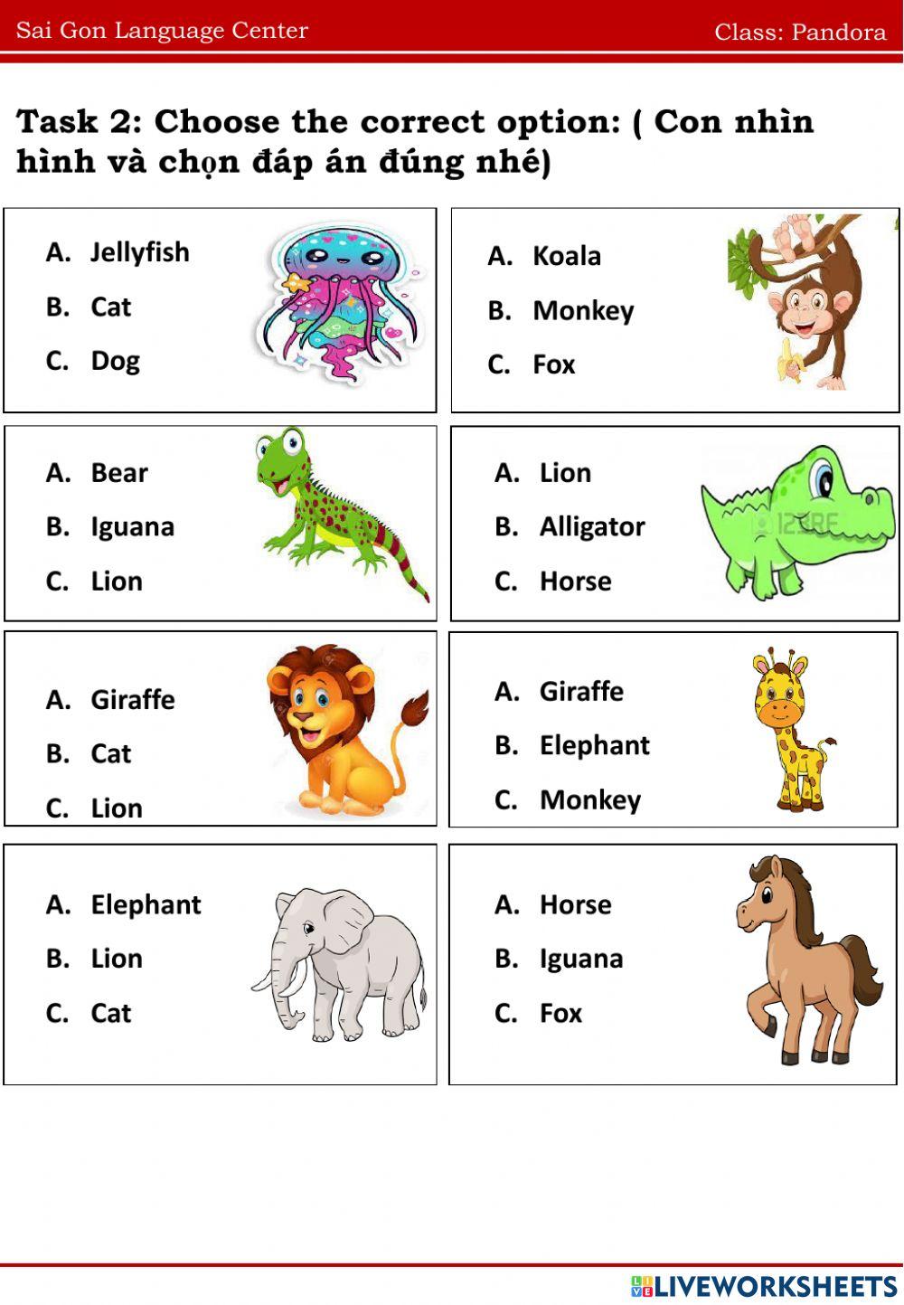 Review Alphabet A-M