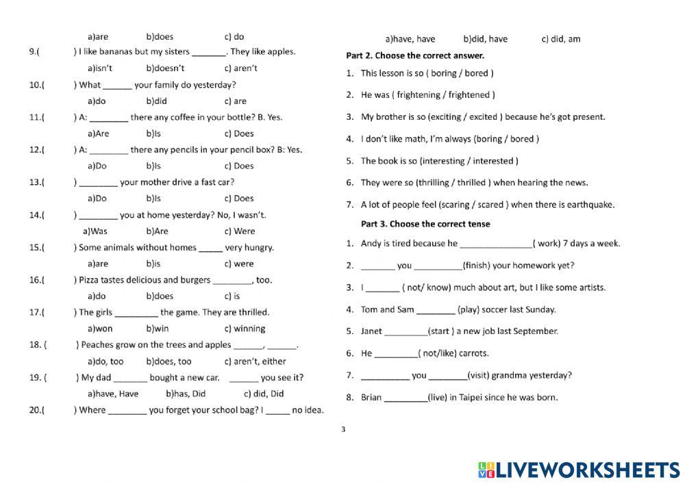 Patricia grade 6 mid paper