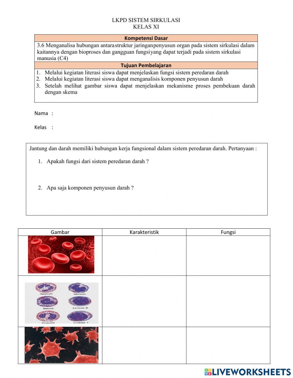 Sistem Sirkulasi Kelas XI