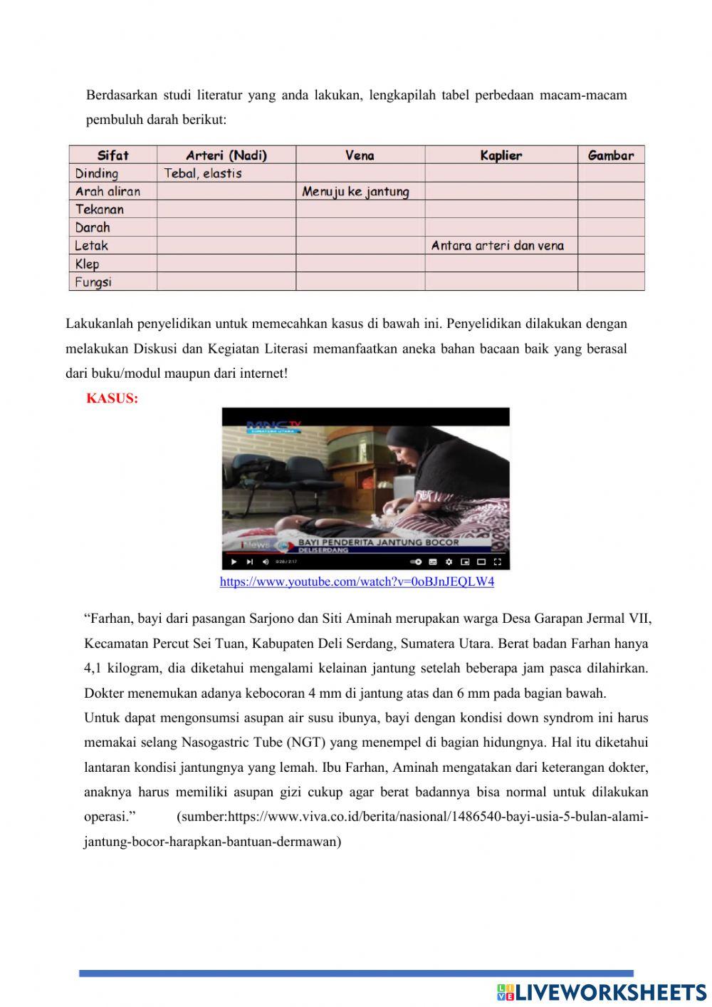 Organ Peredaran Darah