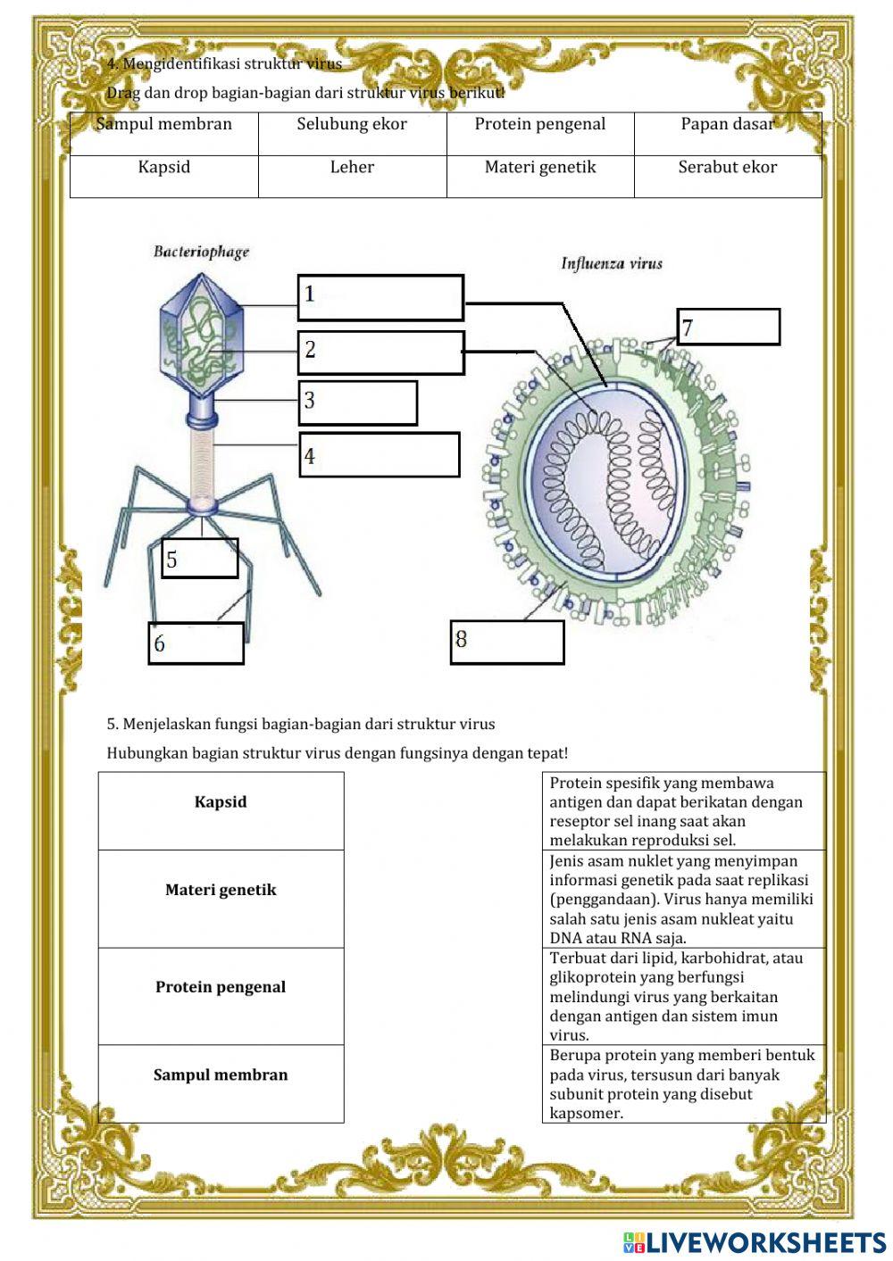 LKPD Virus: Ciri dan struktur