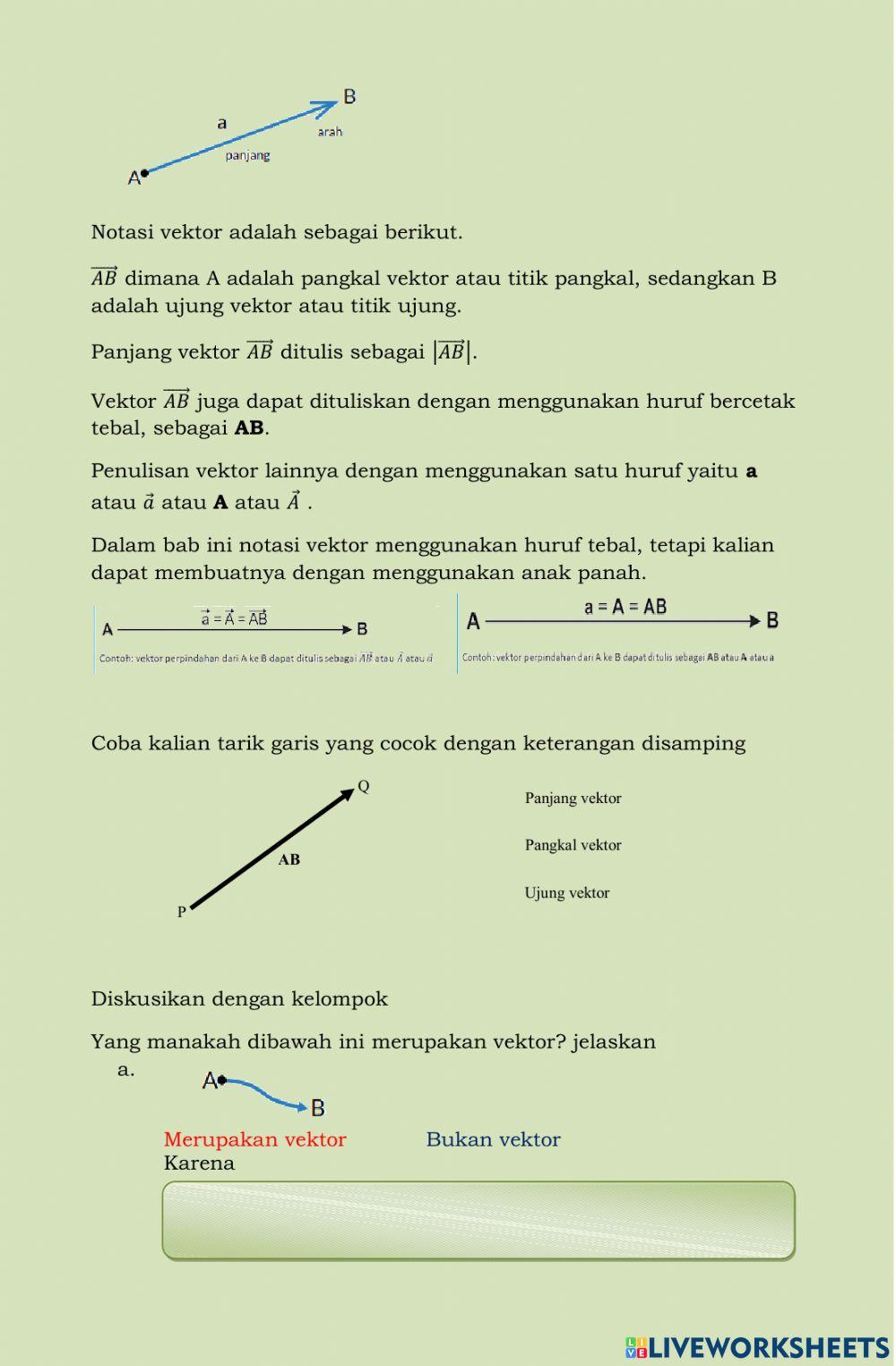 Vektor Vektor
