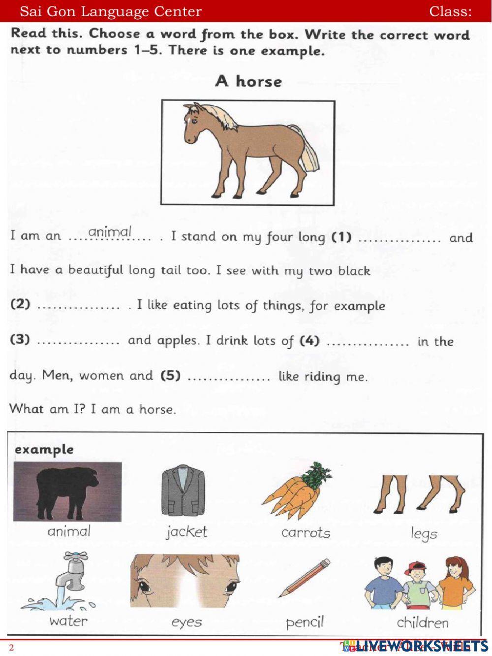 What are you wearing?