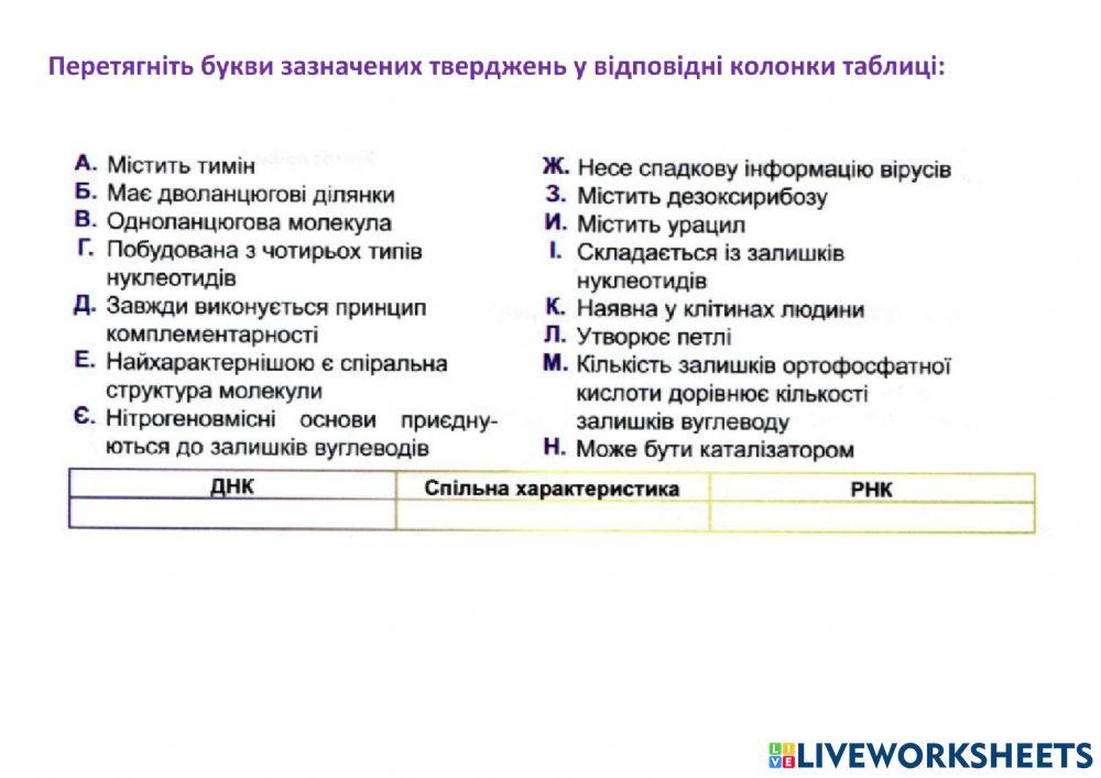 Порівняння ДНК і РНК