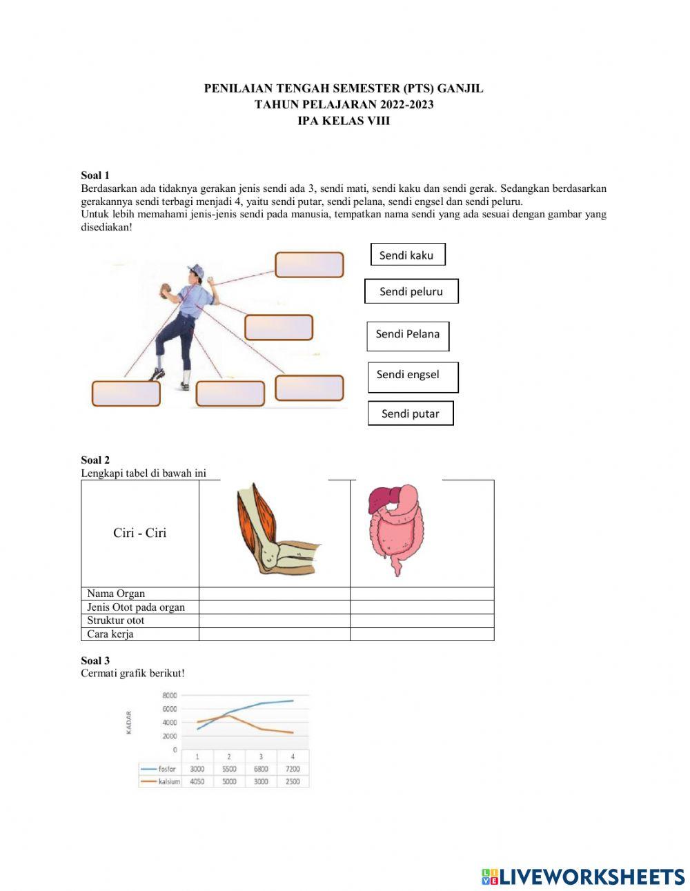 PH Sistem Gerak MH dan Struktur jaringan tumbuhan