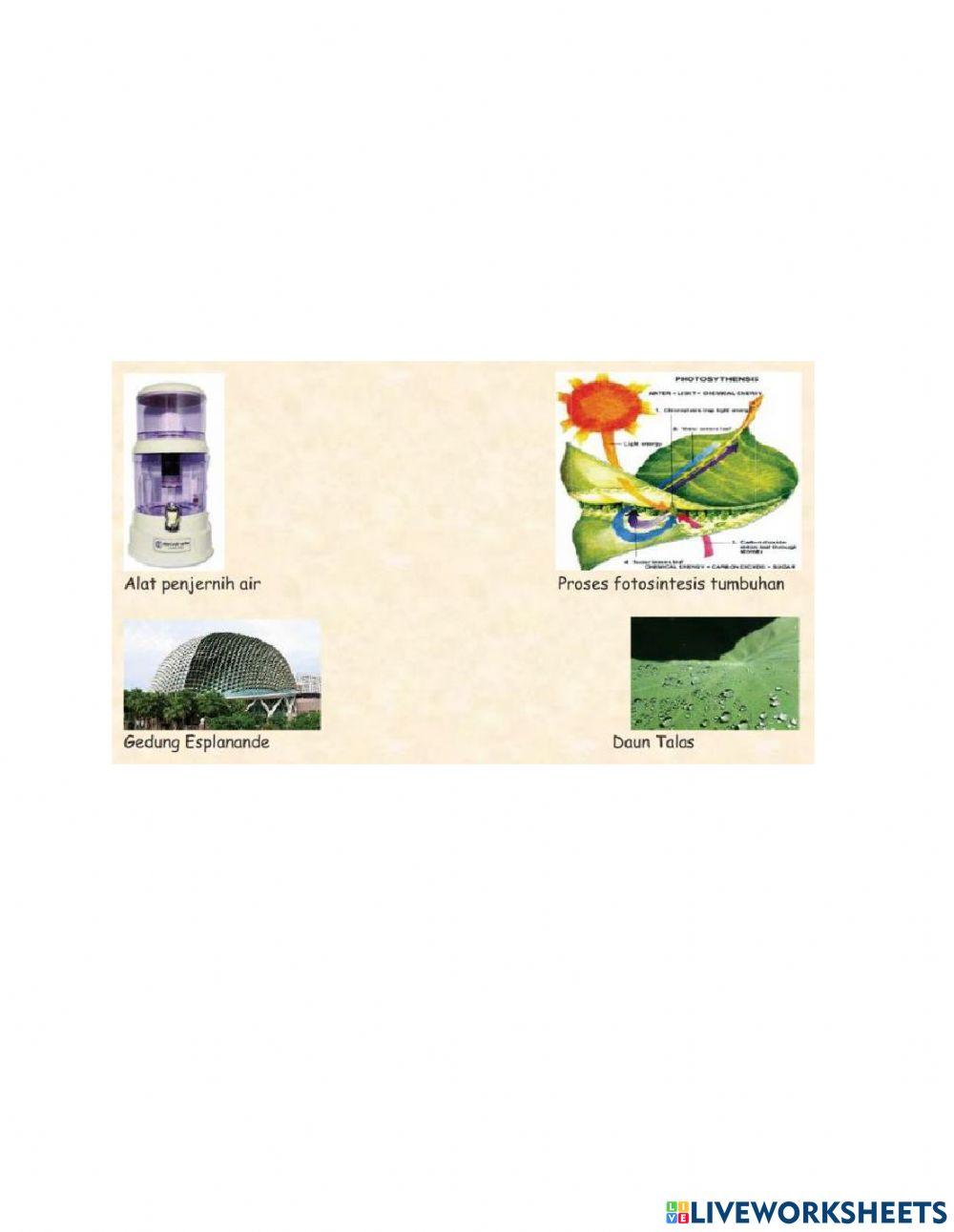 PH Sistem Gerak MH dan Struktur jaringan tumbuhan