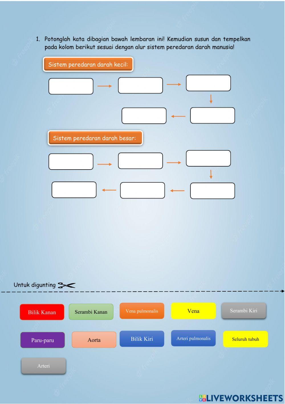 LKPD Sistem Peredaran Darah Kelas 5 Tema 4 Subtema 1 Pembelajaran 1