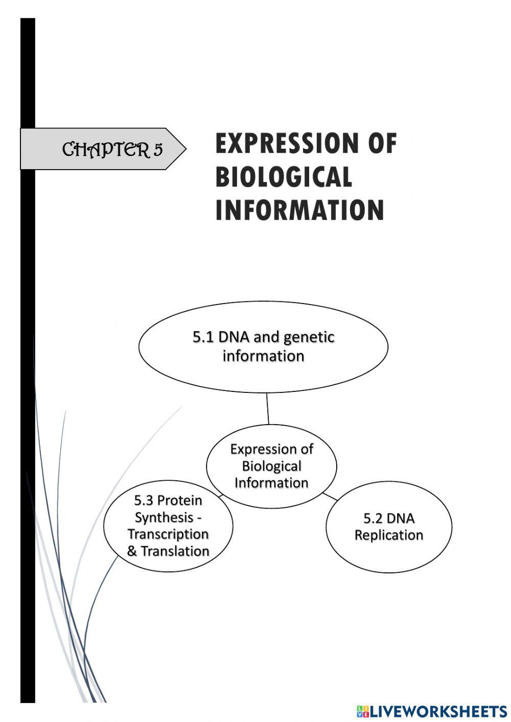 Enzymes used in replication of DNA