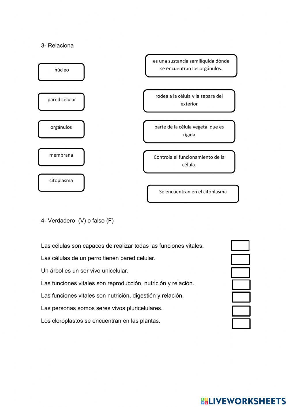 Organización de los serres vivos