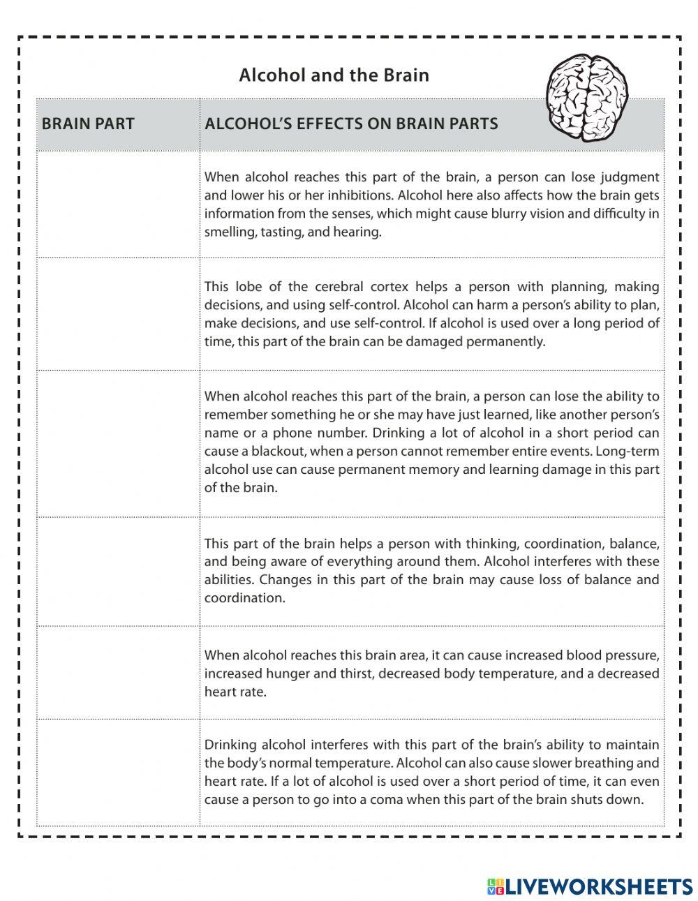 Brain And Alcohol Worksheet Live Worksheets Brain And Alcohol Worksheet Live Worksheets