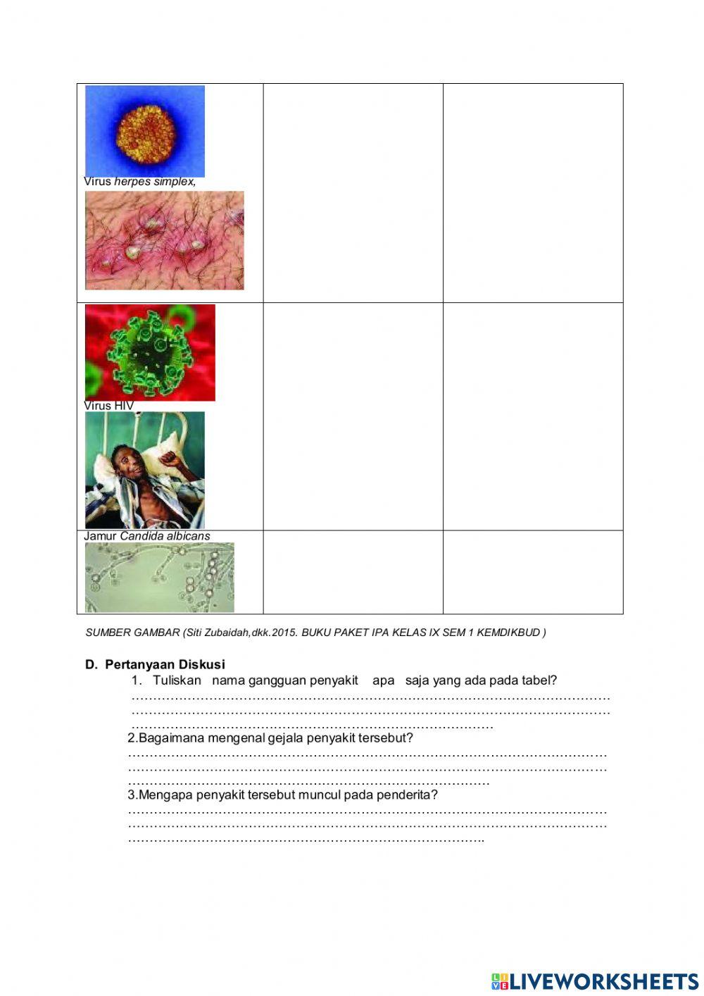 LKPD Penyakit Menular Seksual