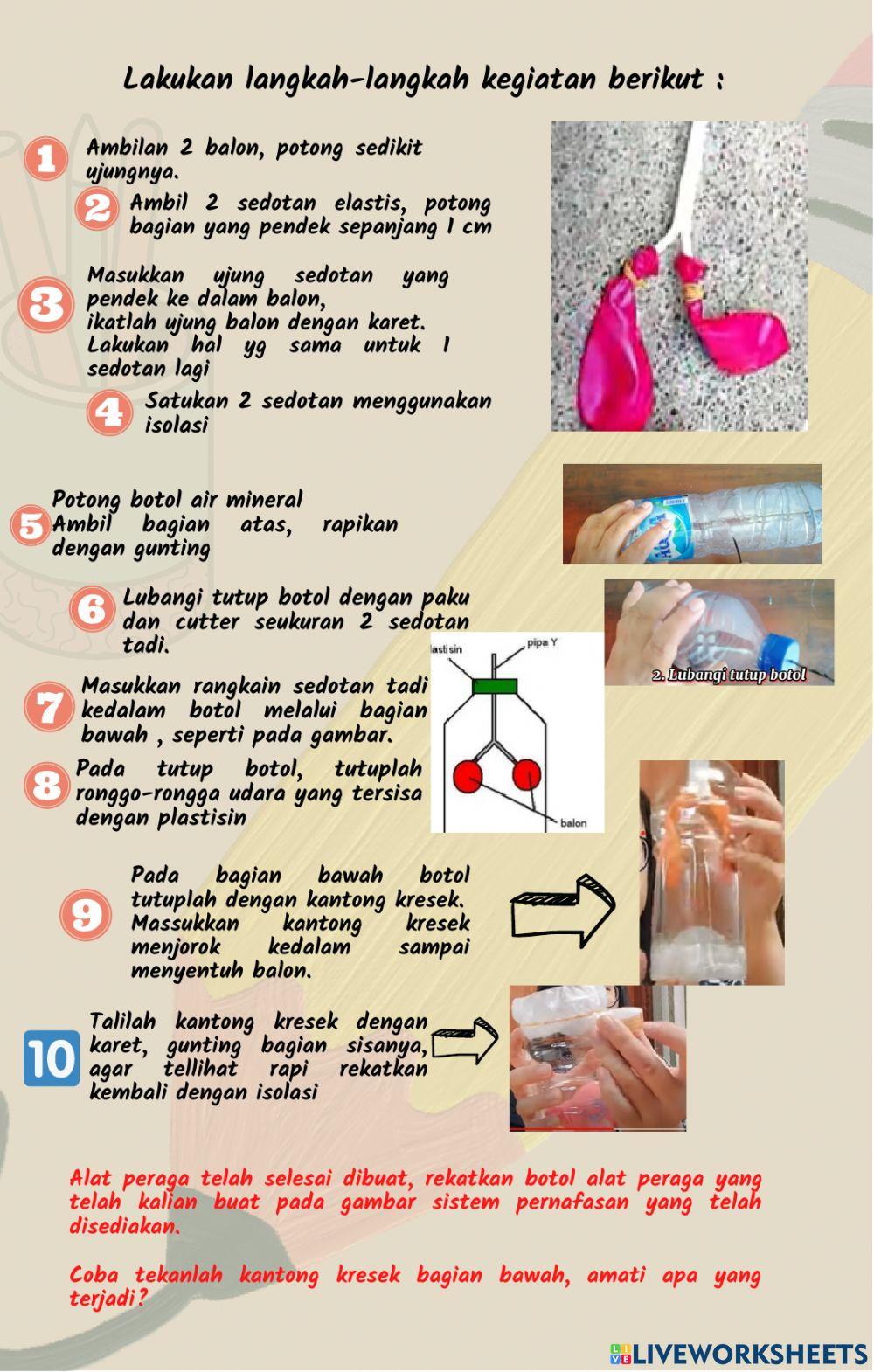 LKPD Sistem Pernafasan Manusia