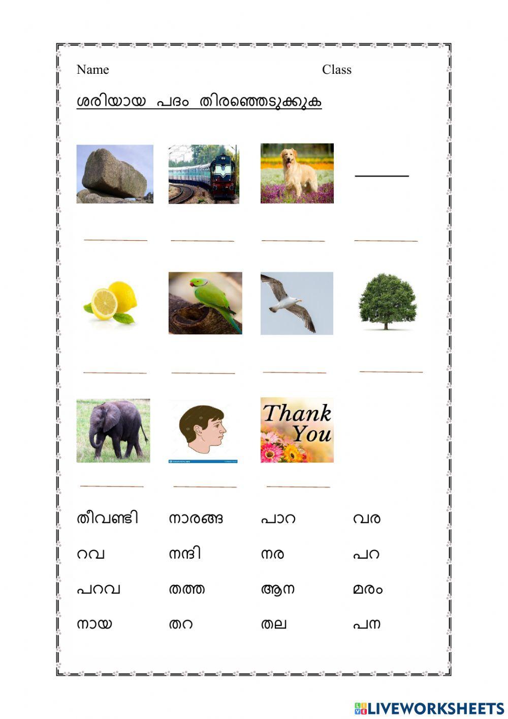 Malayalam 2194944 Najiya A R Live Worksheets malayalam-2194944-najiya-a-r-live-worksheets