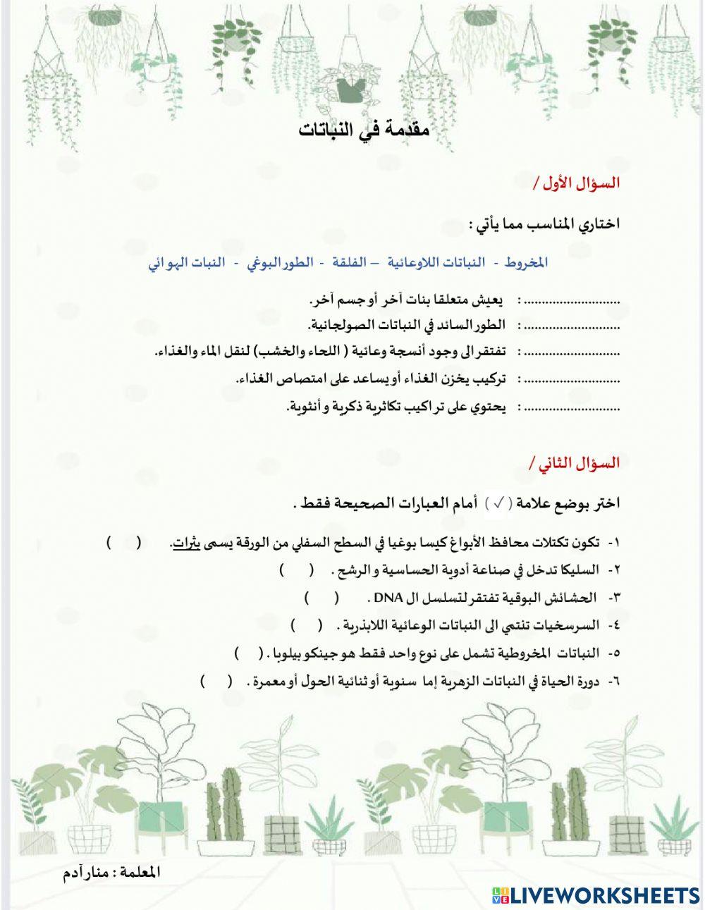 مقدمة في النباتات