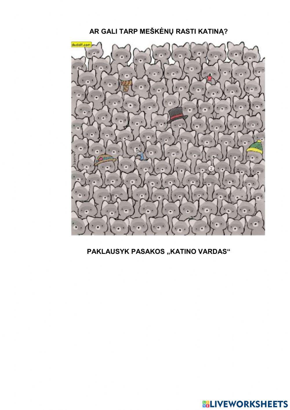 Pasaka „Katino vardas“