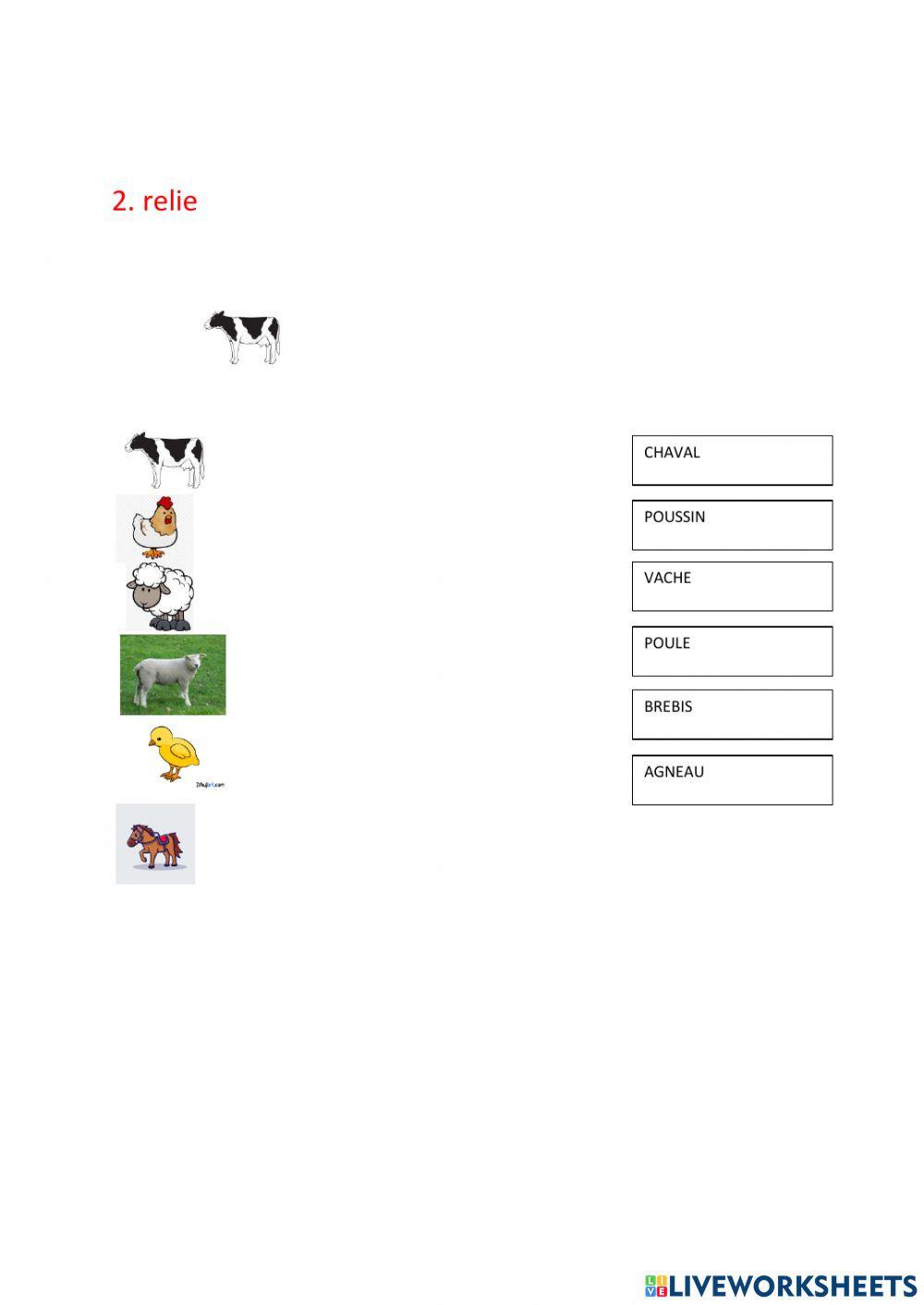 Trabajo práctico de francés