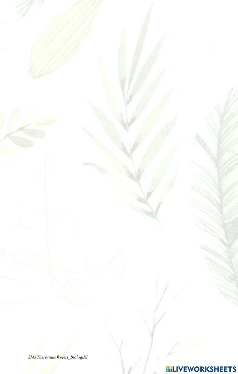 Gangguan Pencernaan Manusia