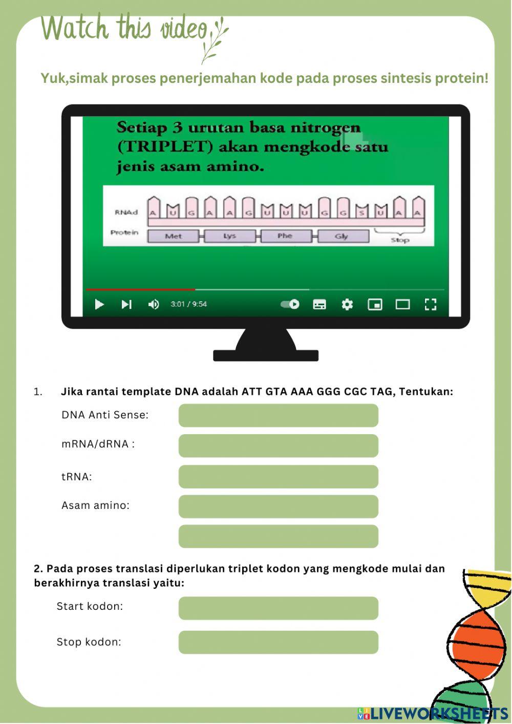 Sintesis protein bagian 2