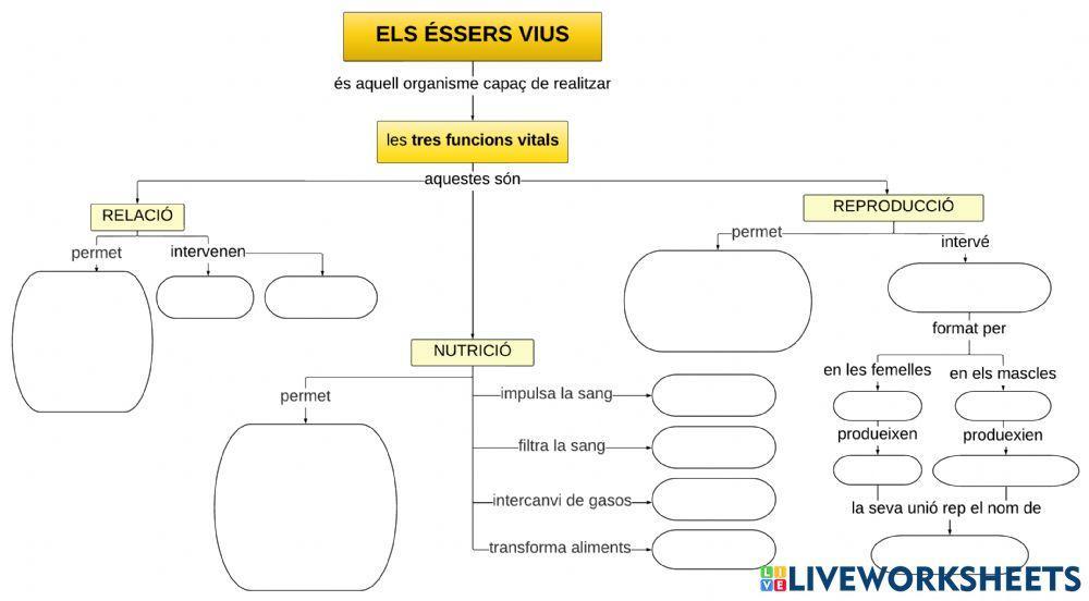 M.c. els éssers vius